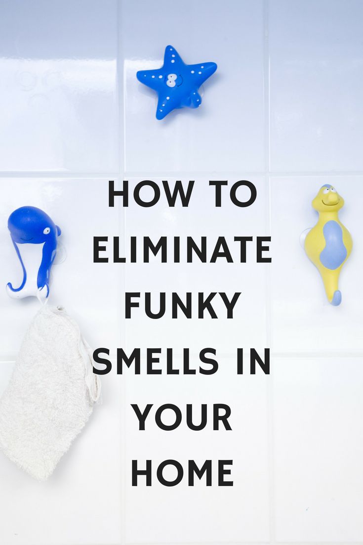 Best Ways to Remove Bad Odors from Your Apartment in Accra