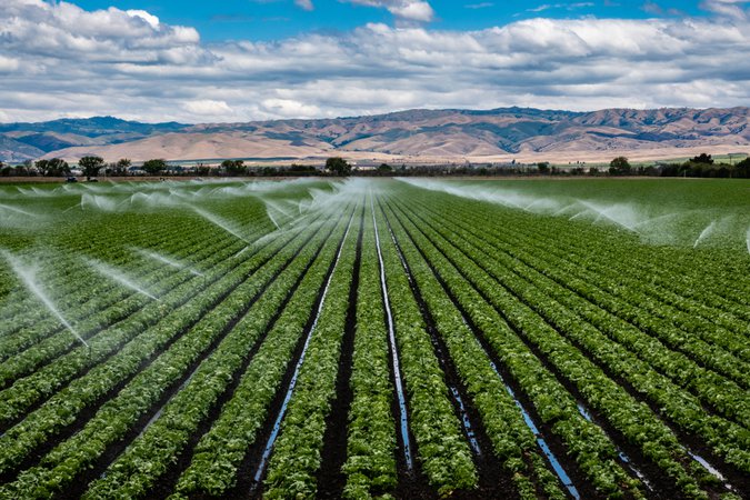 Agricultural Land Investment | Fraser Bond UK & International Property Experts
