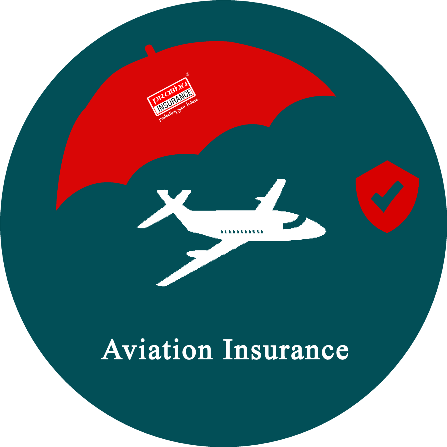 How Plane Insurance Works for Private Aircraft Owners