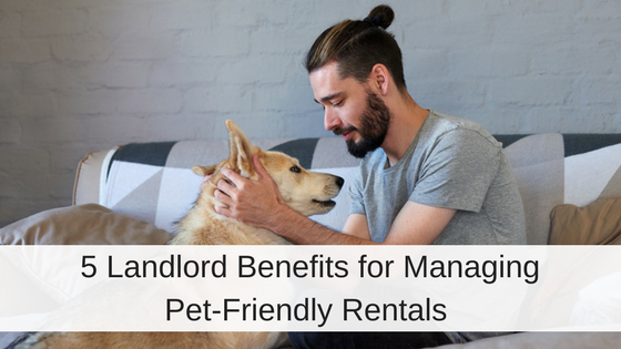 How to Find Pet-Friendly Rentals in the UK