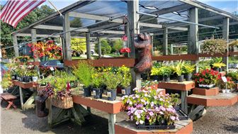 Plant Nursery for Sale | Fraser Bond Rural Property Experts