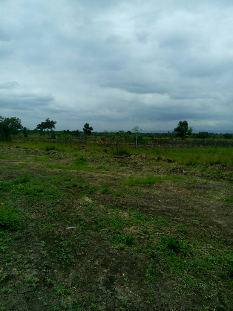 How to Find Land for Sale in Akim Swedru Ghana