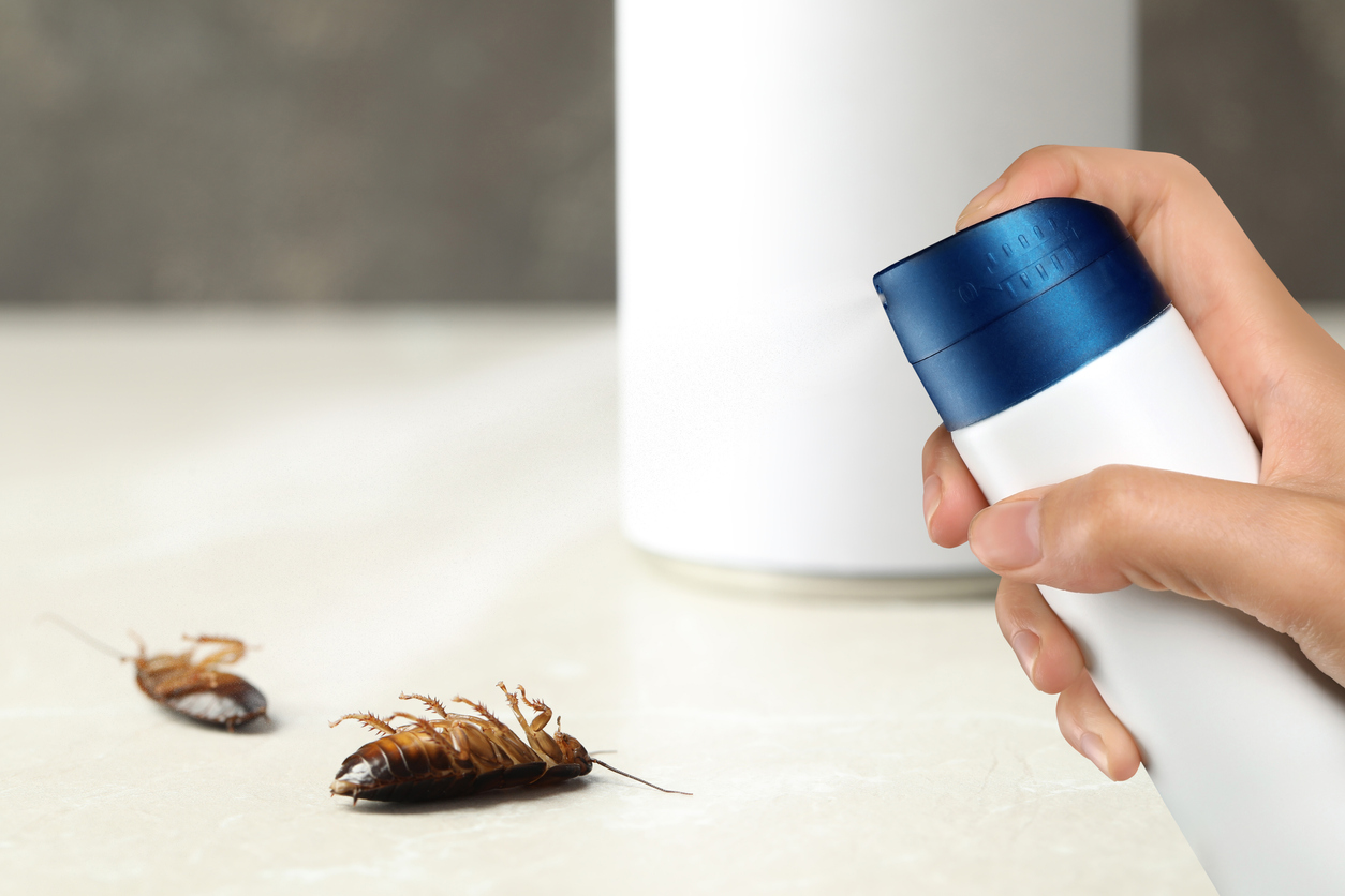 The Ultimate Guide to Eliminating Roaches in Your Apartment - Fast & For Good!