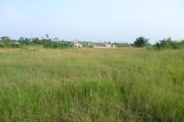 1 plot of land for Quick Sale