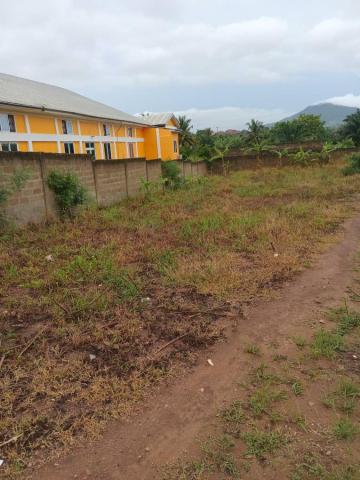 2 Plots Of Land For Sale - Ablekuma Fanmilk