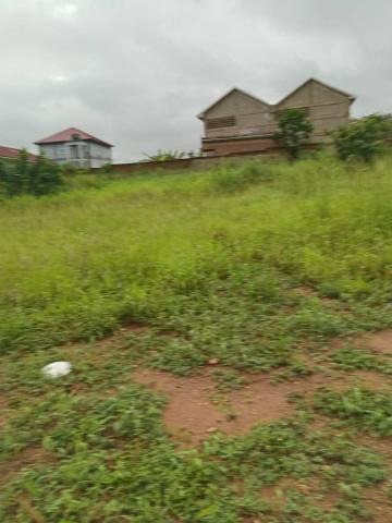 2 Plots Of Land For Sale - Ablekuma Fanmilk
