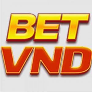 betvndee