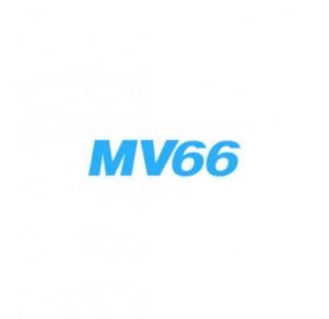 Mv66