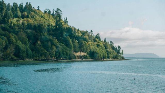 What services are offered at the Qatar Airways Dallas-Fort Worth Office in Texas?