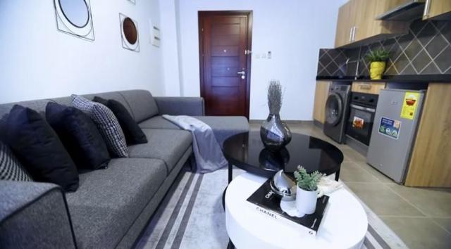 Luxury fully furnished 1 bedroom apartment