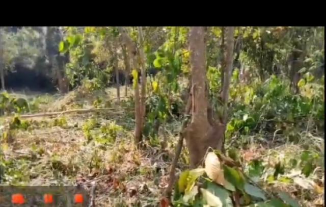 2.5 Acres Farmland for Sale – Obuasi, Ashanti