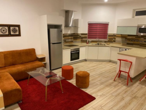 Luxury 1-Bedroom Furnished Apartment for Rent in Cantonments, Accra