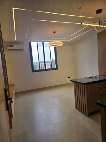 Newly Built Furnished 1-Bedroom Apartment for Rent in Dzorwulu, Accra