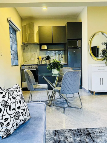 Executive Fully Furnished 1-Bedroom Apartment for Rent in Cantonments, Accra