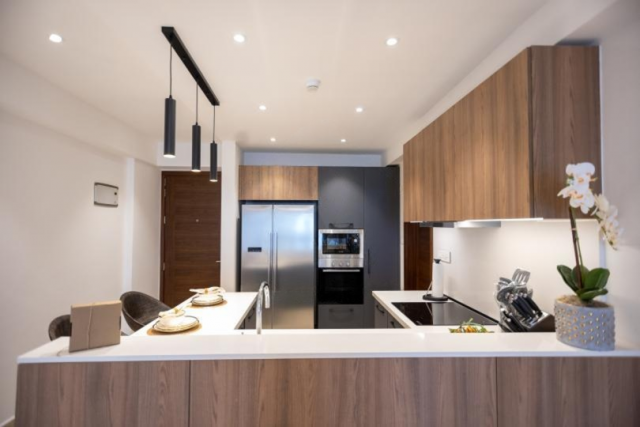 Luxury 1-Bedroom Furnished Apartment in Osu, Ringway Estate, Accra