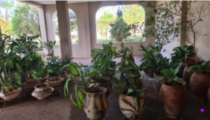 Executive 2-Bedroom Furnished Apartment for Short Let in Trasacco Phase 1, Accra