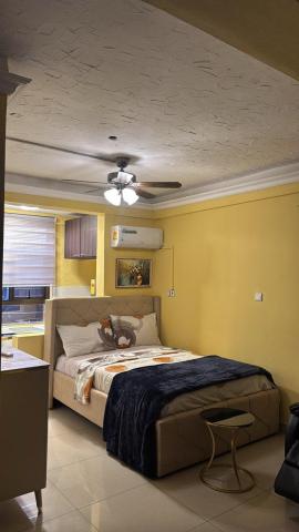 Luxurious Fully Furnished Studio Apartment