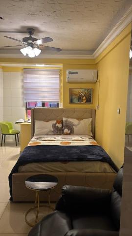 Luxurious Fully Furnished Studio Apartment