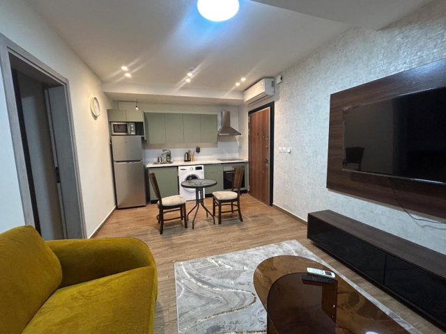 Luxury Furnished 1-Bedroom Apartment in West Airport