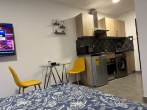 Furnished Studio Apartment with Swimming Pool and Gym at Oasis Park Residence, East Legon, Accra