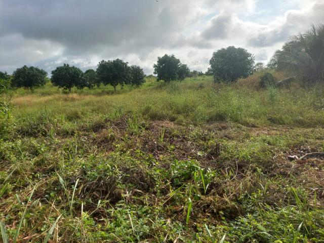 12 Plots of Land for Sale at Sogakope Detsawome, Volta Region, Ghana