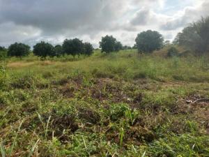 12 Plots of Land for Sale at Sogakope Detsawome, Volta Region, Ghana