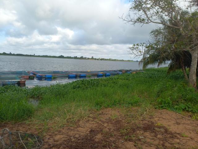 12 Plots of Land for Sale at Sogakope Detsawome, Volta Region, Ghana