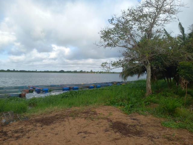 12 Plots of Land for Sale at Sogakope Detsawome, Volta Region, Ghana