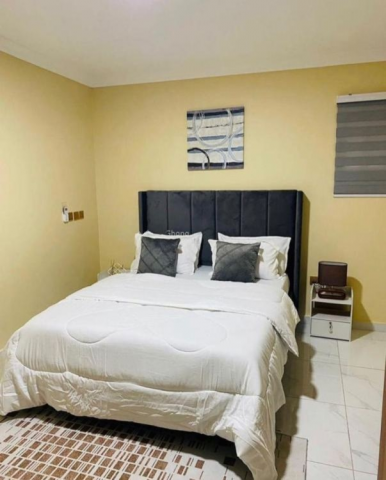 Fully Furnished 2-Bedroom Apartment