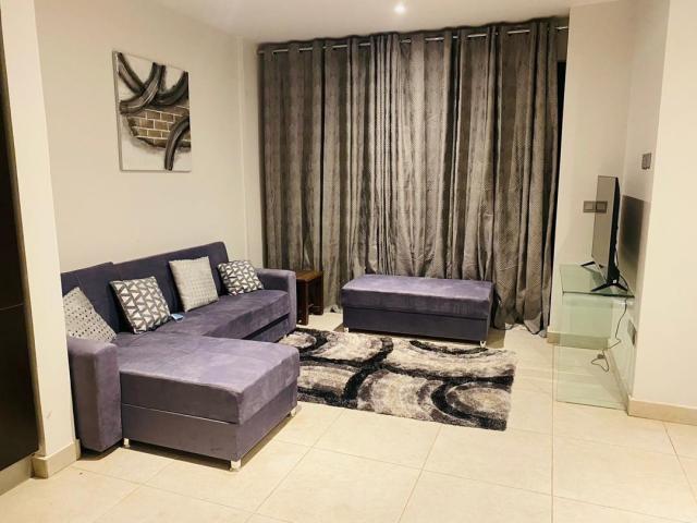 Luxuriously furnished 1 bedroom apartment for rent in East Legon