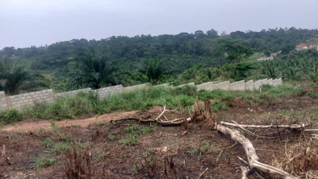 Land for Sale in Aburi