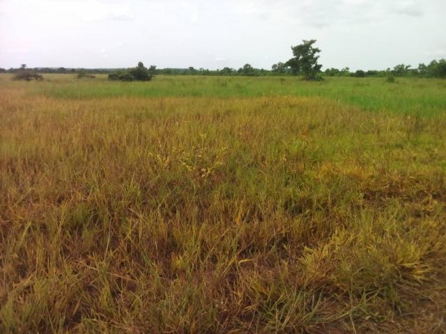 40000 arces of farmland.