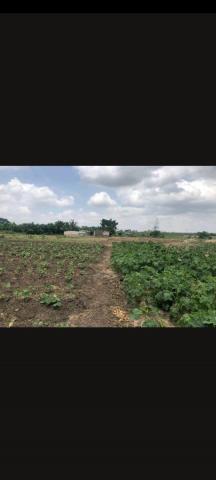 29 acres of land for Quick Sale